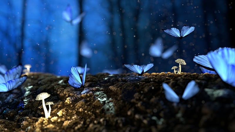 Magical entities